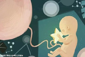 胚胎培养